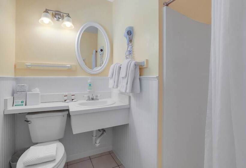 스탠다드 룸 더블 침대 2개, The Palms