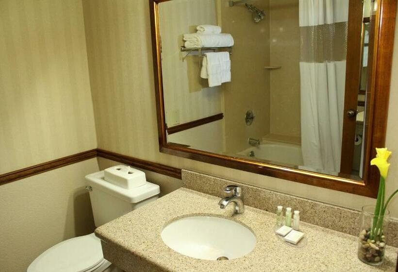 Quarto Estandar Cama King, University Square