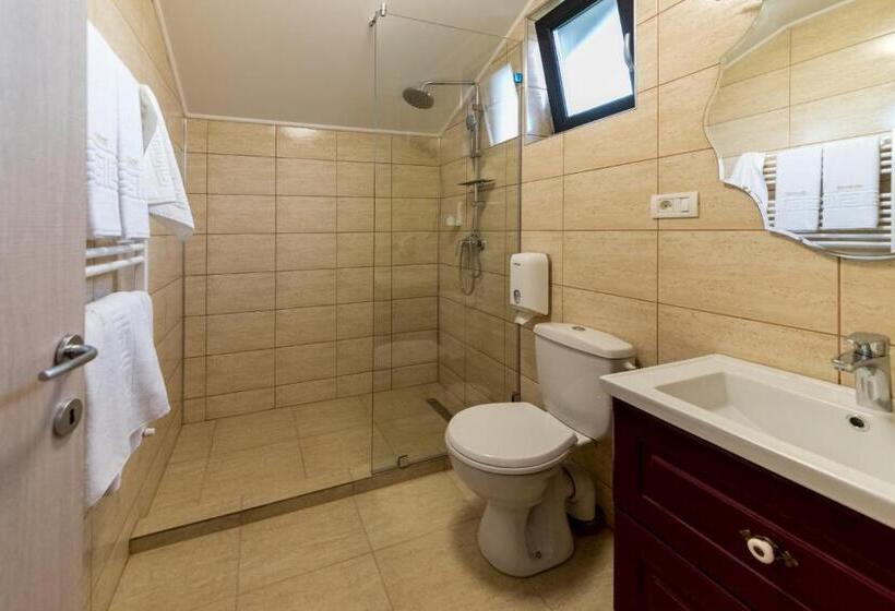 Номер Стандарт Трехместный, Dr House