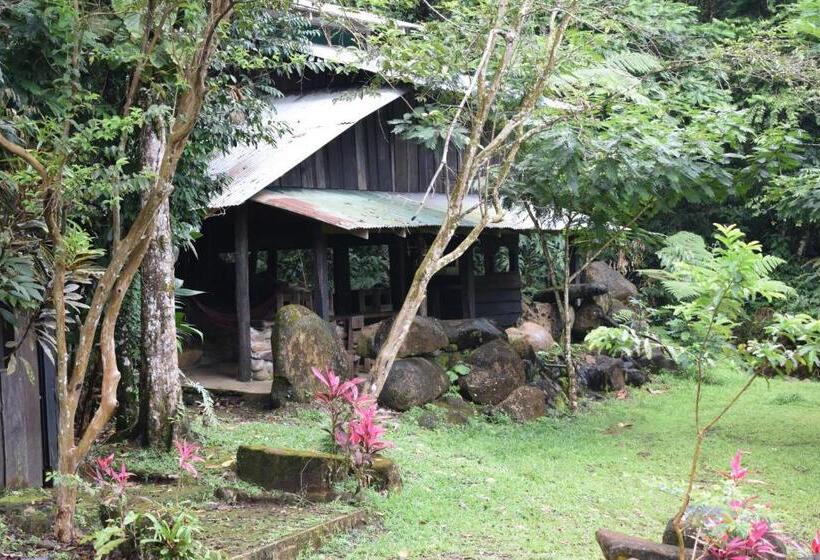 بنجلو عائلى, Mirador Prendas