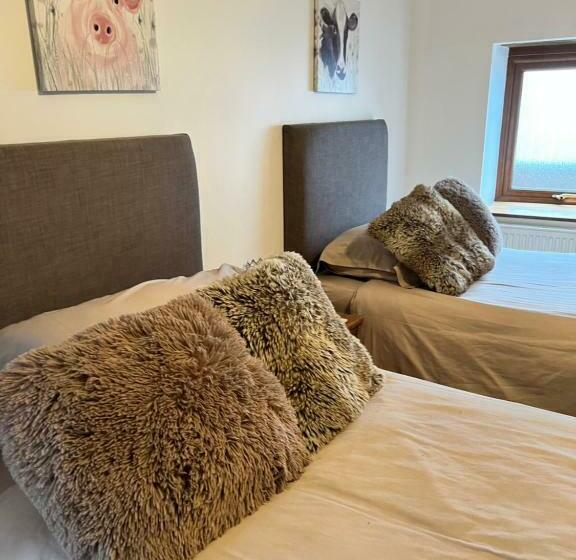 스탠다드 룸, Beudy Bach