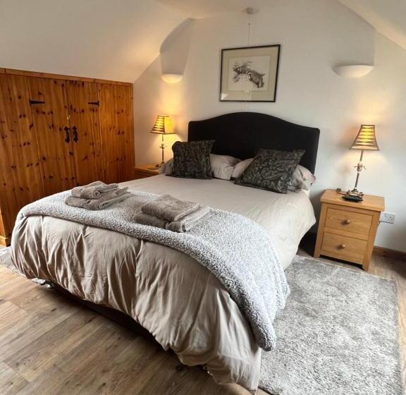 스탠다드 룸, Beudy Bach