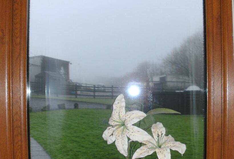 스탠다드 룸, Beudy Bach