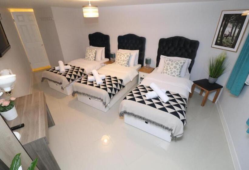 Номер Стандарт Трехместный, The Spinney