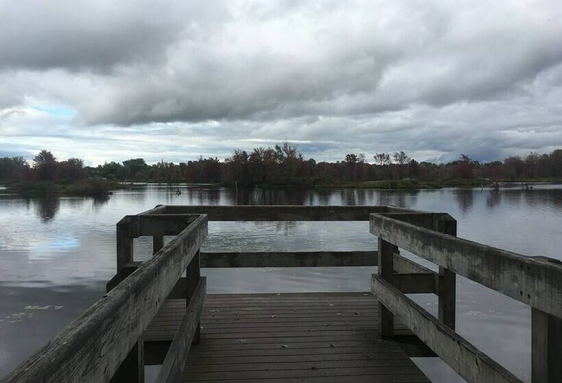 Номер Комфорт, The Cape Cod House