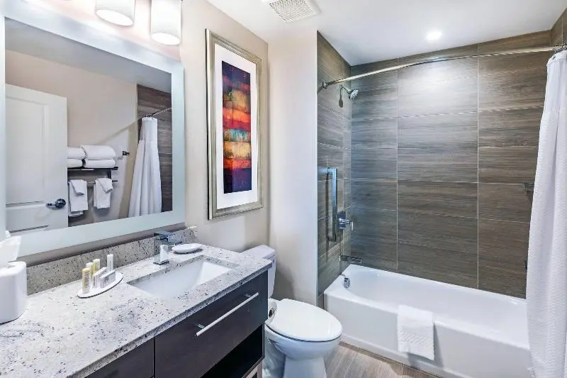 クイーンベッドのスタンダードスタジオ, Towneplace Suites Dallas Plano/richardson