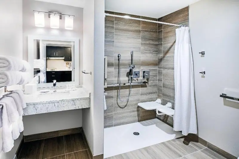 クイーンベッドのスタンダードスタジオ, Towneplace Suites Dallas Plano/richardson