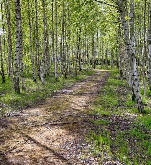 اتاق استاندارد, Danhostel Ishøj Strand