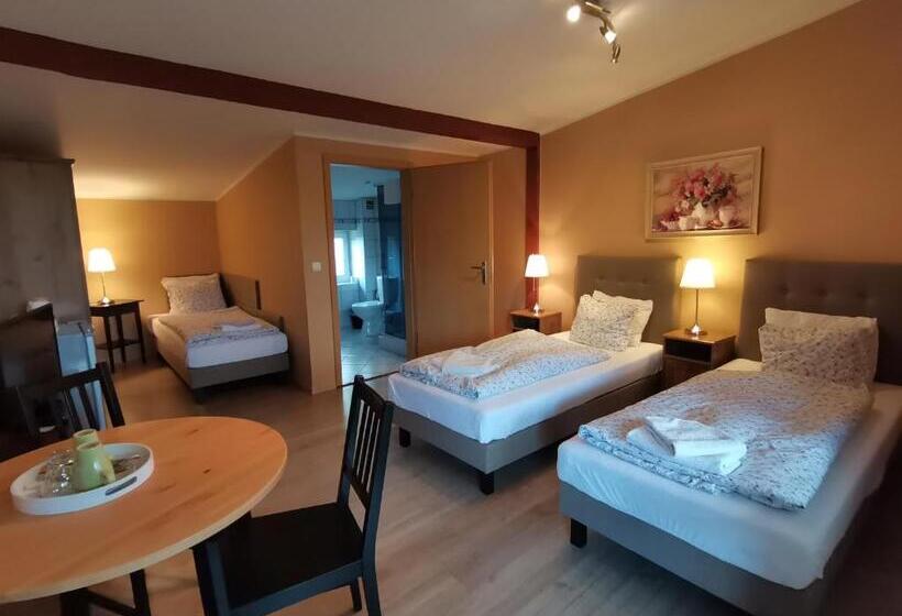 חדר סטנדרט יחיד, W Starym Ogrodnictwie