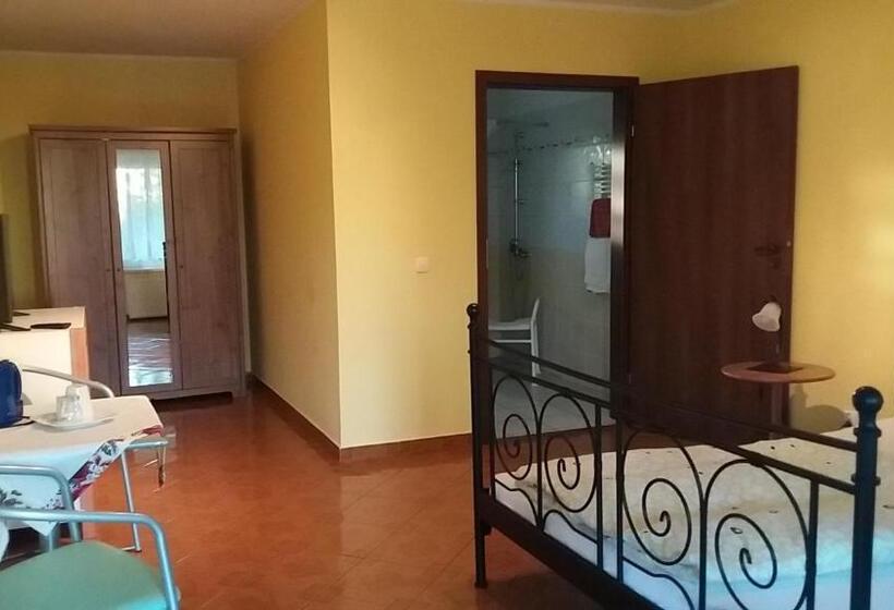 חדר סטנדרט יחיד, W Starym Ogrodnictwie