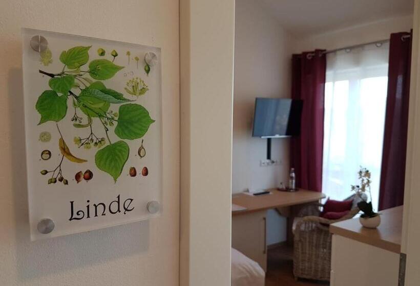 싱글 디럭스 룸, Gästehaus Staudenschloss