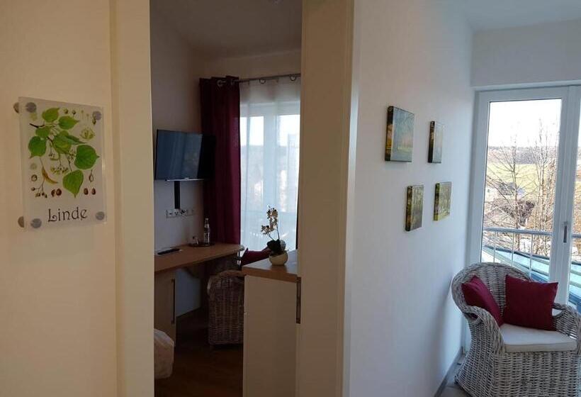 Номер Deluxe Одноместный, Gästehaus Staudenschloss