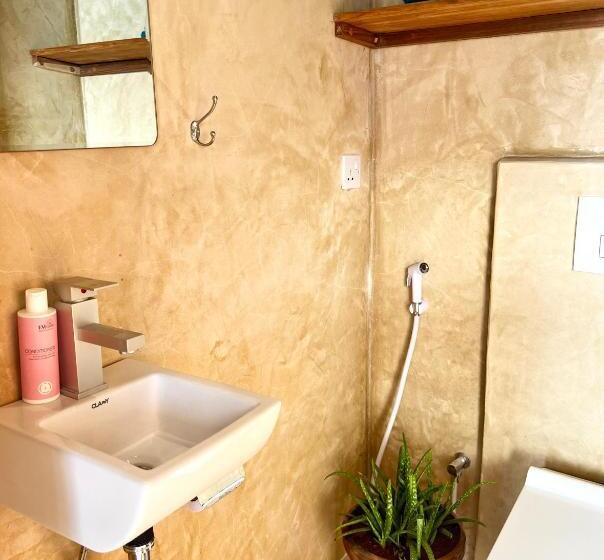 شقة دور أخير غرفة نوم واحدة, Meliks