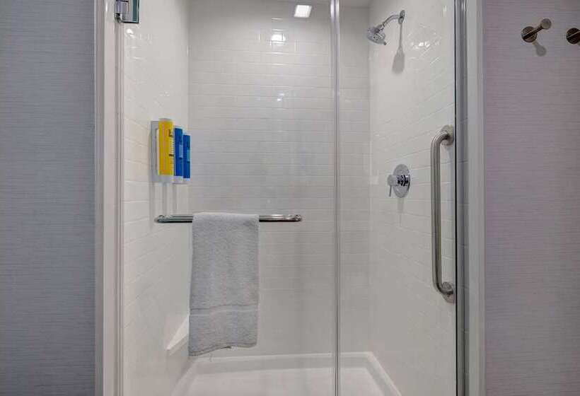 اتاق استاندارد با تخت بزرگ, Champlain Burlington, Curio Collection By Hilton