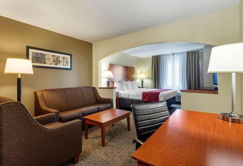 מיטת קינג בסוויטה, Comfort Suites North Dallas