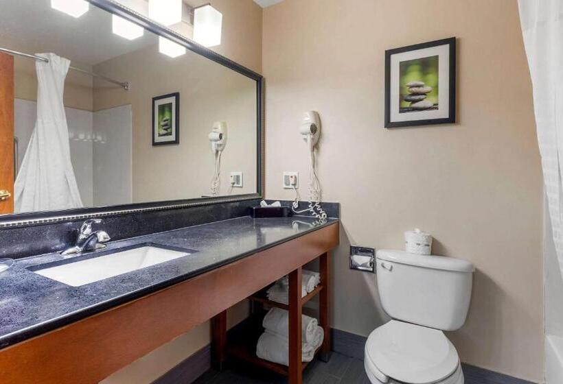 מיטת קינג בסוויטה, Comfort Suites North Dallas