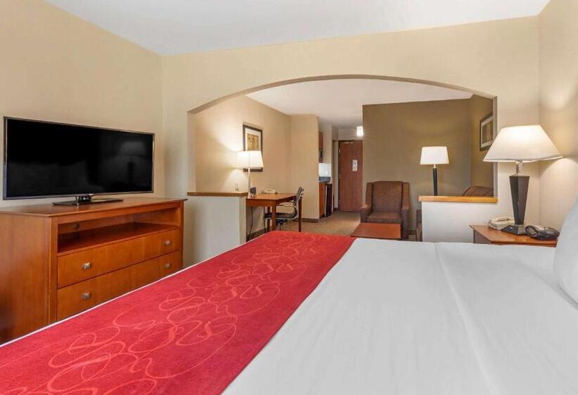 מיטת קינג בסוויטה, Comfort Suites North Dallas