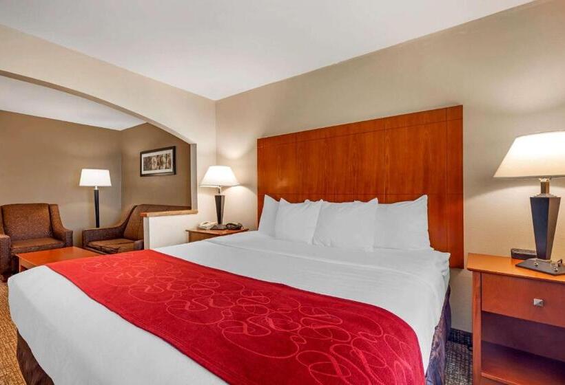 带大床的套房, Comfort Suites North Dallas