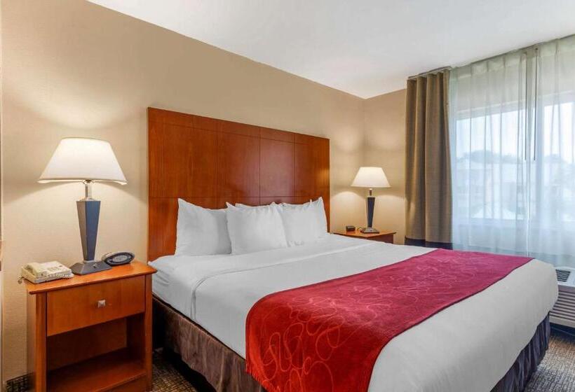 מיטת קינג בסוויטה, Comfort Suites North Dallas