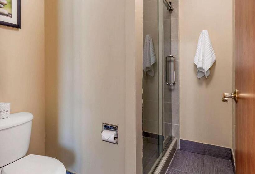 מיטת קינג בסוויטה, Comfort Suites North Dallas