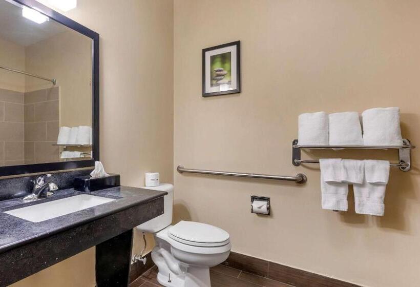 סוויטה מותאמת לאדם עם מוגבלויות, Comfort Suites North Dallas