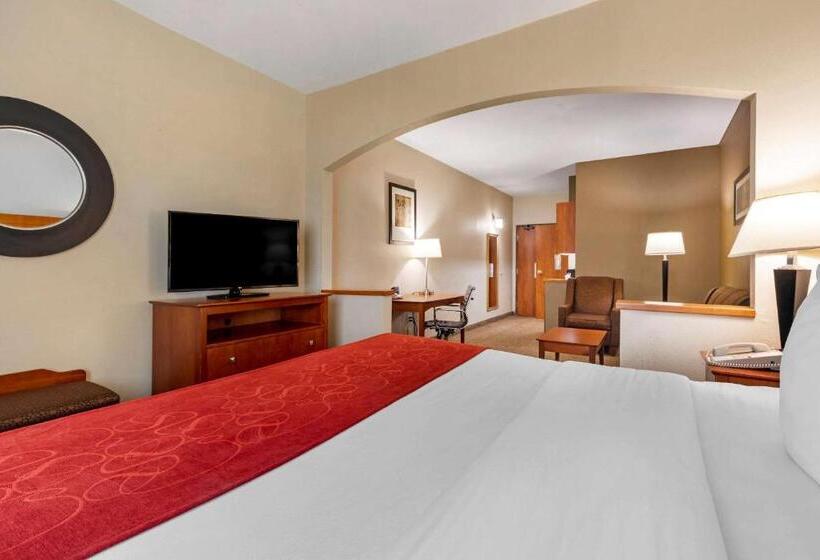 适合残疾人士使用的套间, Comfort Suites North Dallas