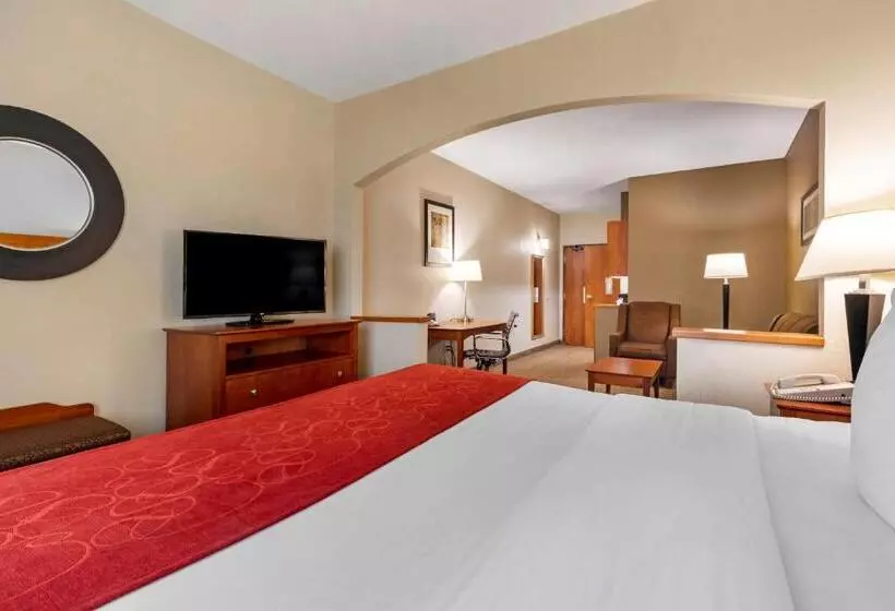 身障者適用スイートルーム, Comfort Suites North Dallas