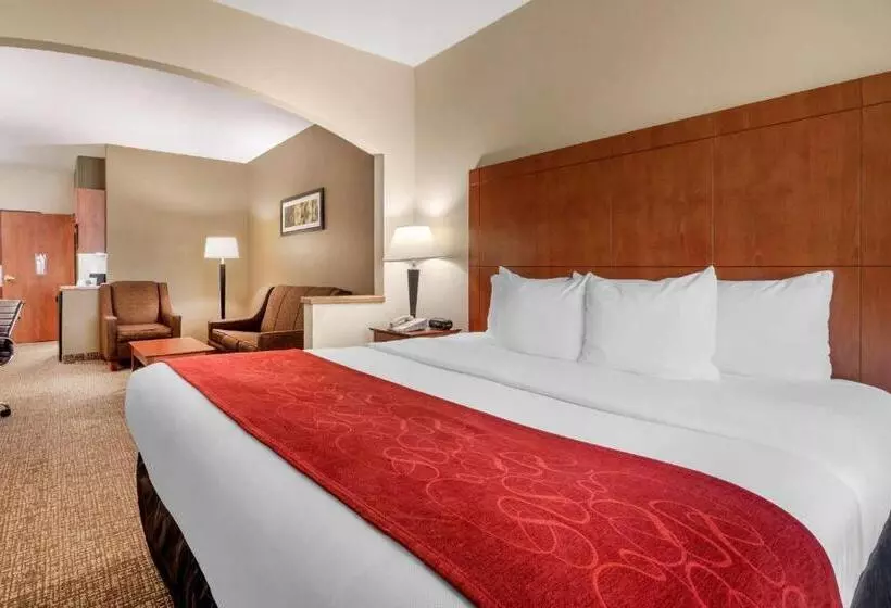 身障者適用スイートルーム, Comfort Suites North Dallas