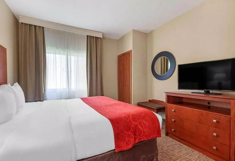 身障者適用スイートルーム, Comfort Suites North Dallas