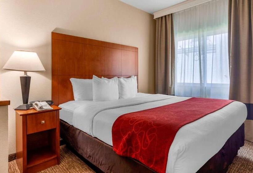 סוויטה מותאמת לאדם עם מוגבלויות, Comfort Suites North Dallas