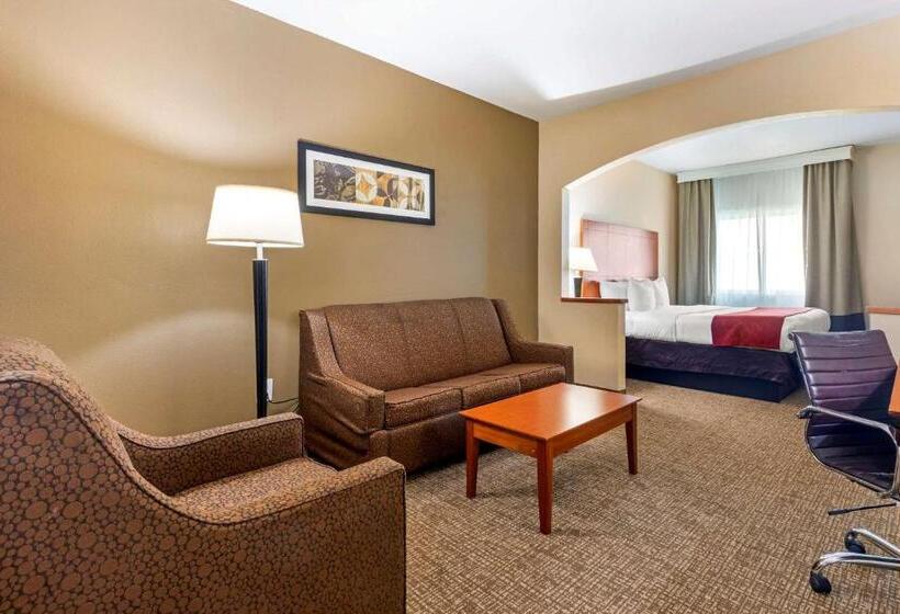 适合残疾人士使用的套间, Comfort Suites North Dallas