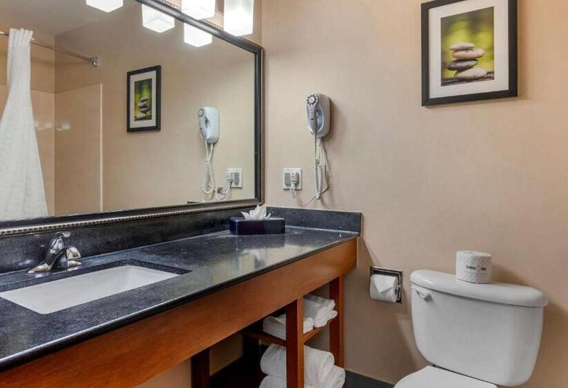 סוויטה דלוקס, Comfort Suites North Dallas