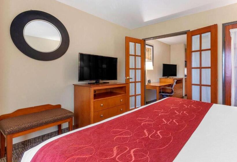豪华套房, Comfort Suites North Dallas