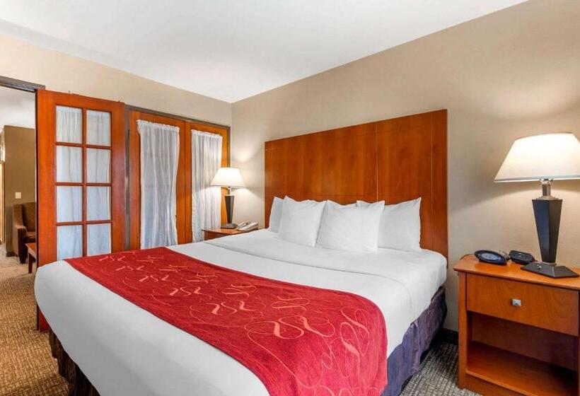 סוויטה דלוקס, Comfort Suites North Dallas