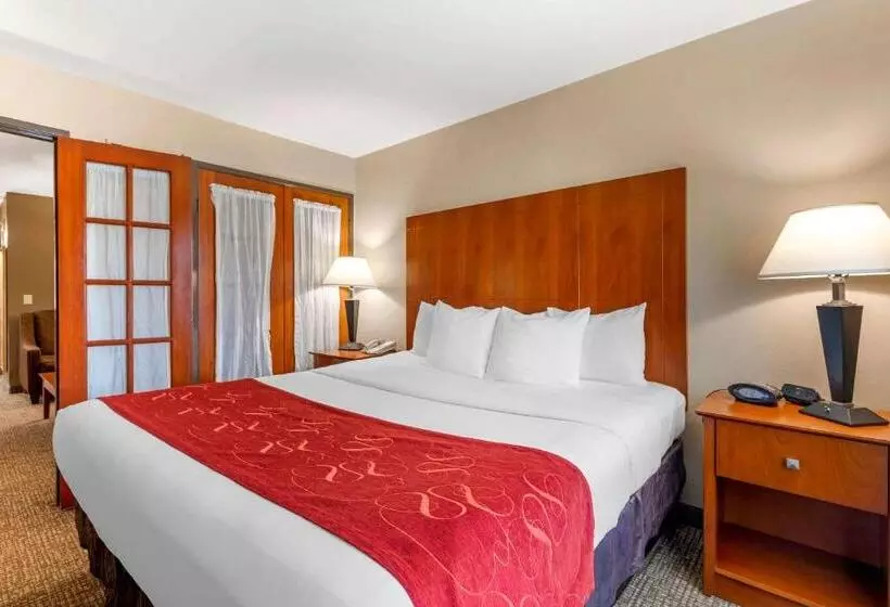 デラックススイート, Comfort Suites North Dallas