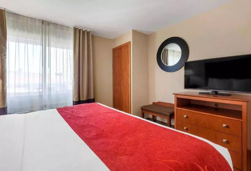 デラックススイート, Comfort Suites North Dallas