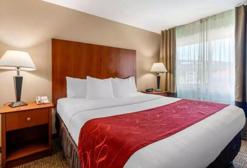 デラックススイート, Comfort Suites North Dallas