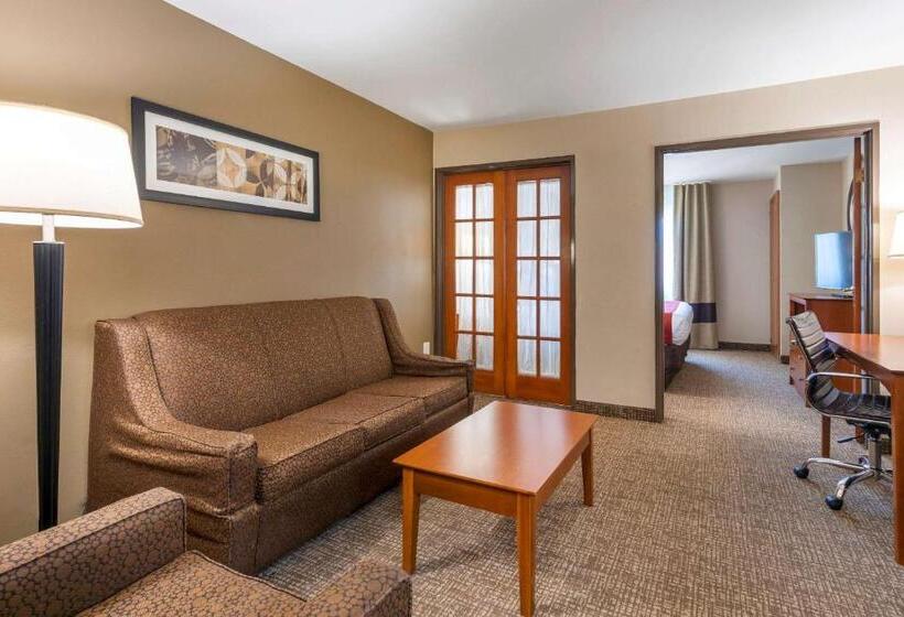 豪华套房, Comfort Suites North Dallas