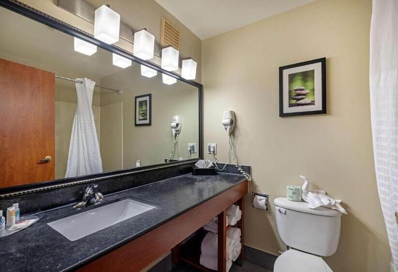 套房, Comfort Suites North Dallas