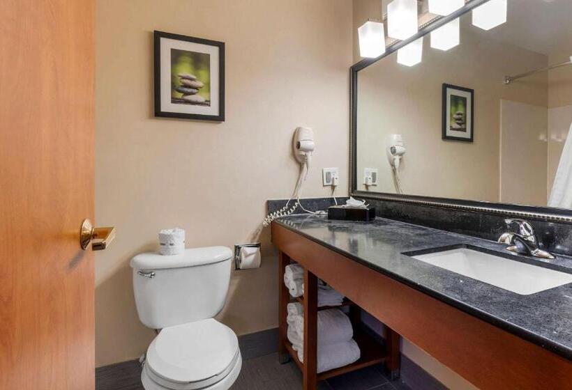 סוויטה, Comfort Suites North Dallas