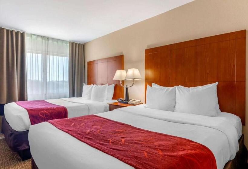 סוויטה, Comfort Suites North Dallas