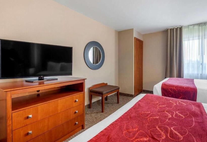 套房, Comfort Suites North Dallas