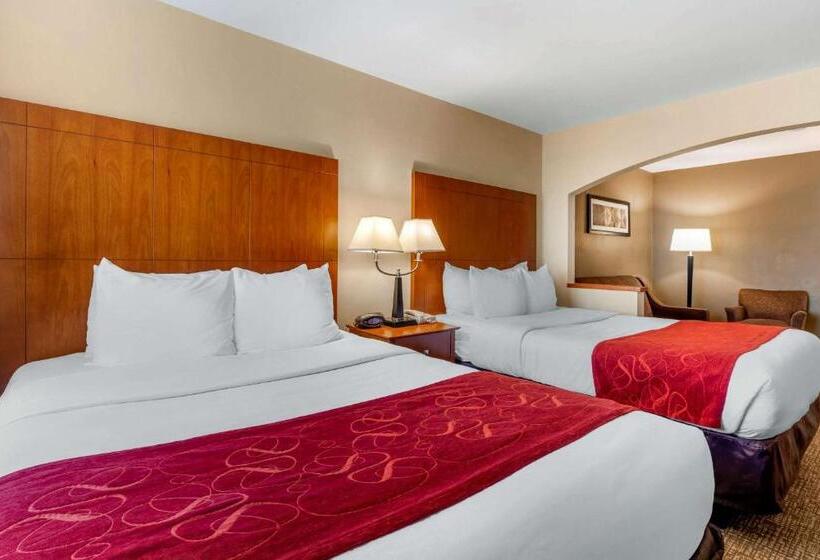 סוויטה, Comfort Suites North Dallas