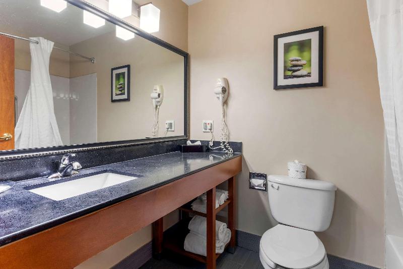 מיטת קינג בסוויטה, Comfort Suites North Dallas