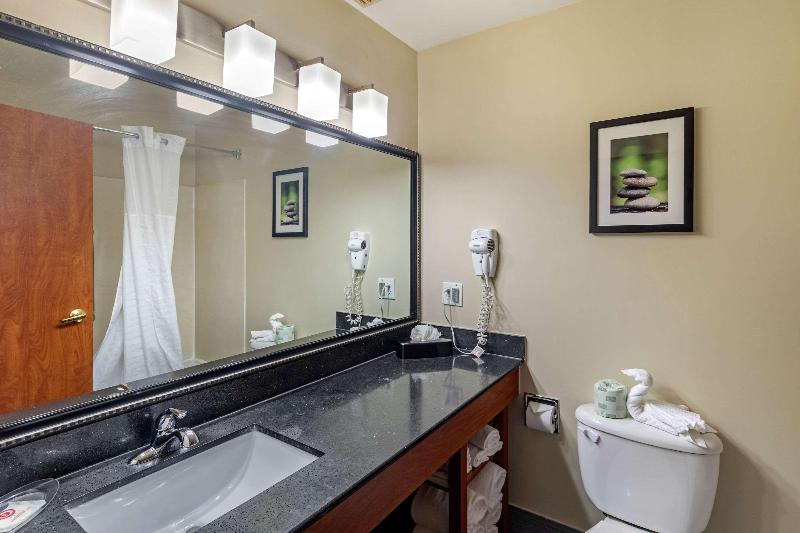 带大床的套房, Comfort Suites North Dallas