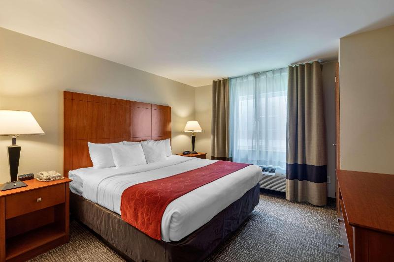 套房, Comfort Suites North Dallas