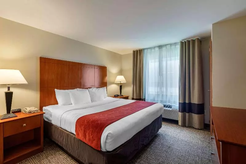スイート, Comfort Suites North Dallas