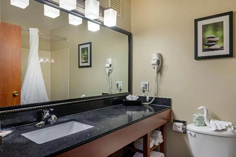 スイート, Comfort Suites North Dallas