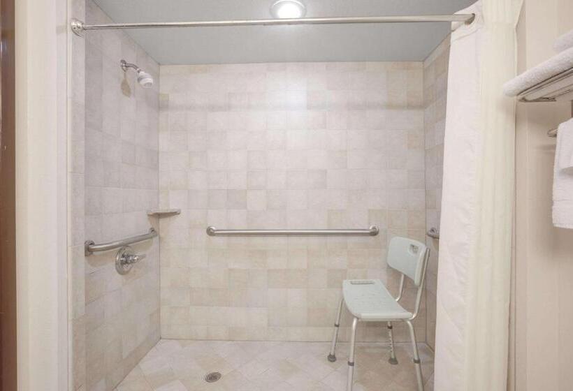 Стандартный Номер Кровать Кинг, Econo Lodge