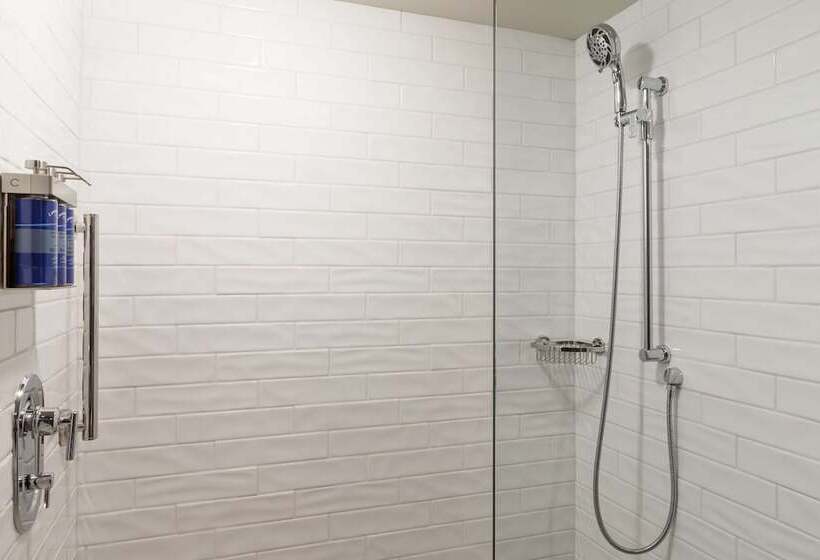 اتاق استاندارد برای معلولان, Champlain Burlington, Curio Collection By Hilton